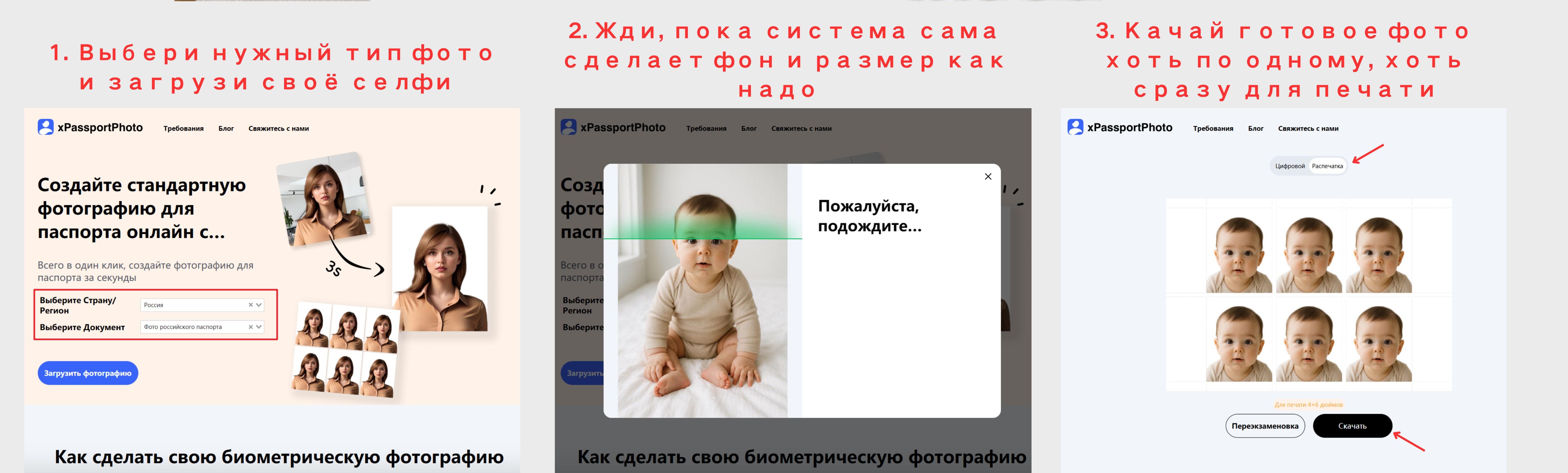 как бесплатно сделать фото на документы для младенца с помощью онлайн-программы — пошаговое руководство