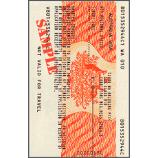 Australian Visa Photo - 35x45mm