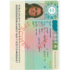 Schengen Visa Photo 35x45 mm