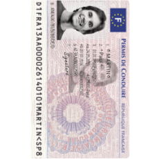 Photo permis de conduire français 35x45 mm