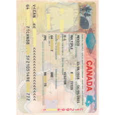 Canada Visa Photo - 35x45mm
